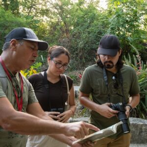 Francisco May Birdwatching Experience Endemics